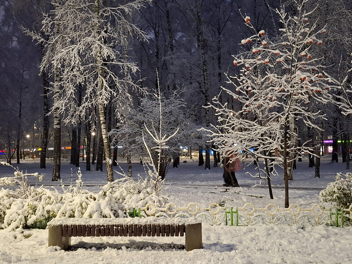 Скамейка есть,  а посидеть не получится,  а то одной снегурочкой на свете больше станет 🤭
