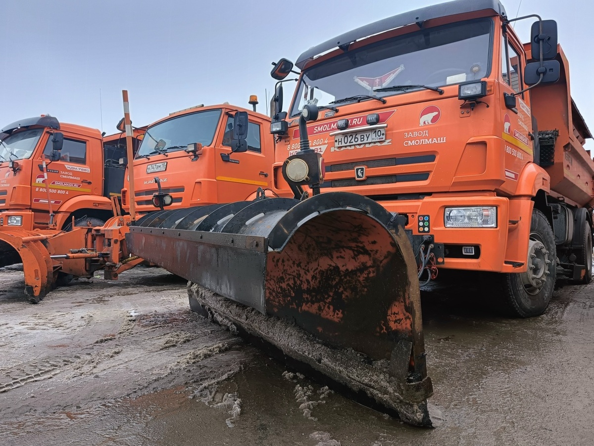    фото: © Столица на Онего