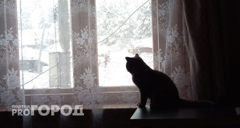    Метели и штормовые ветры: синоптики рассказали о погоде в Коми на 17 ноября