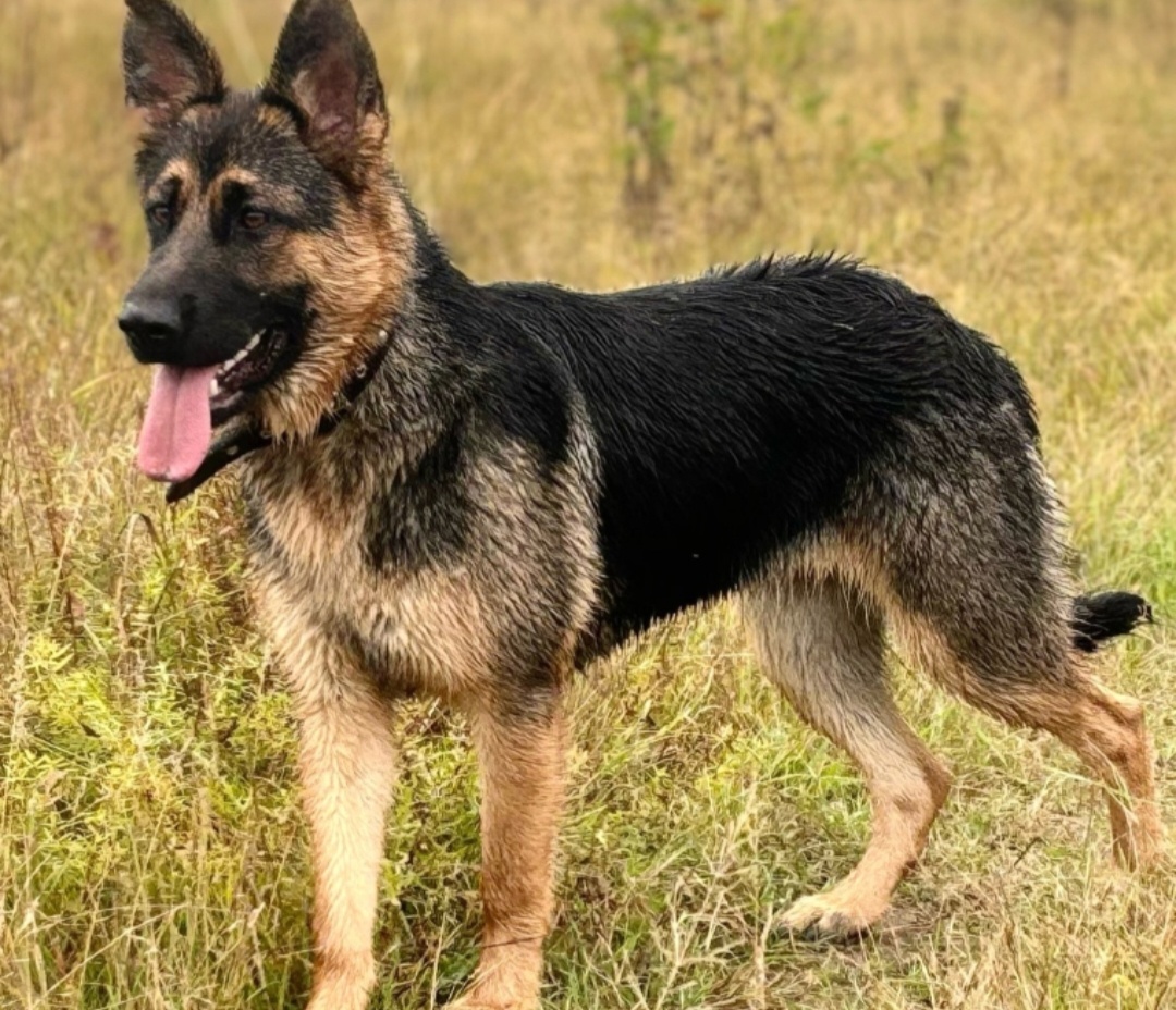 Киви хорошела с каждым днём 