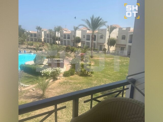    Фото: телеграм-канал SHOT