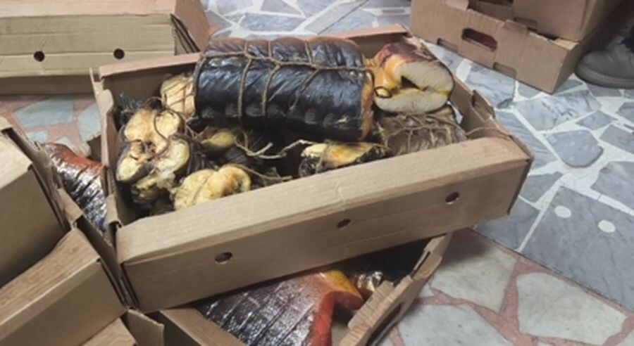    фото: © Россельхознадзор РК