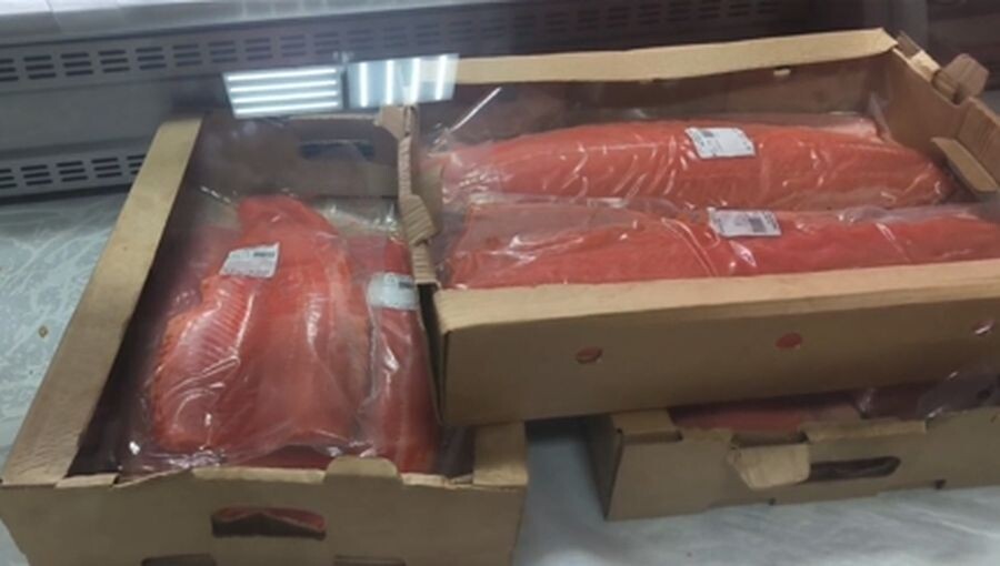    Более 300 кг рыбы без документов изъяли в кинотеатре Петрозаводска© Россельхознадзор РК