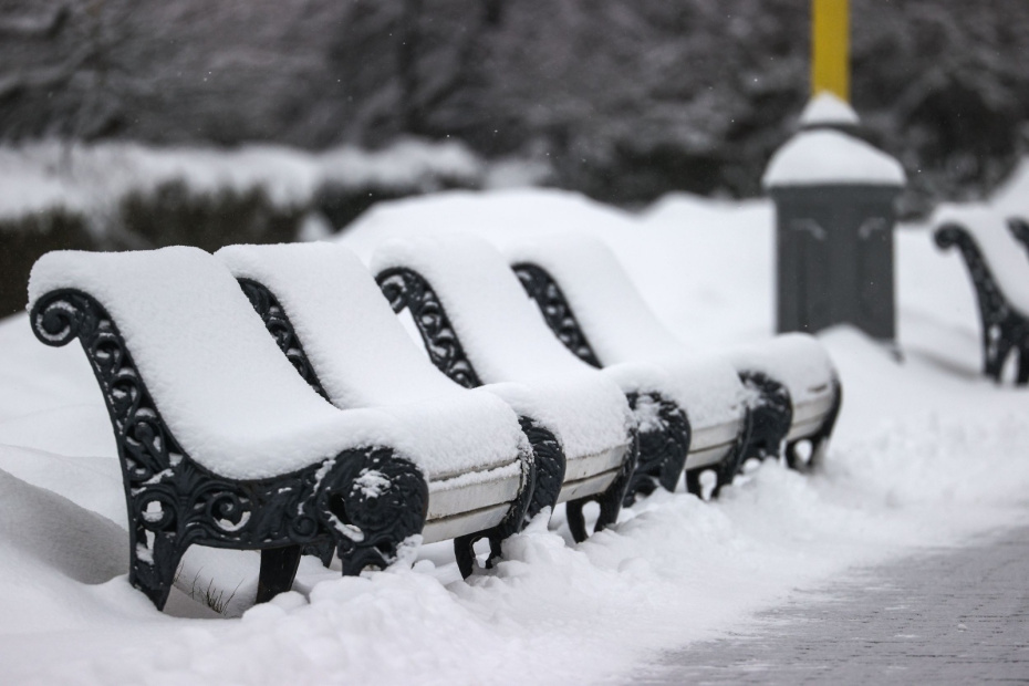    Сергей Булкин/NEWS.ru
