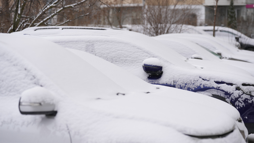    Фото: ИЗВЕСТИЯ/Дмитрий Коротаев; 5-tv.ru