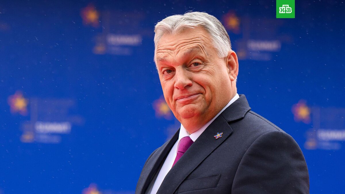    Фото: Associated Press © 2025, Leon Neal