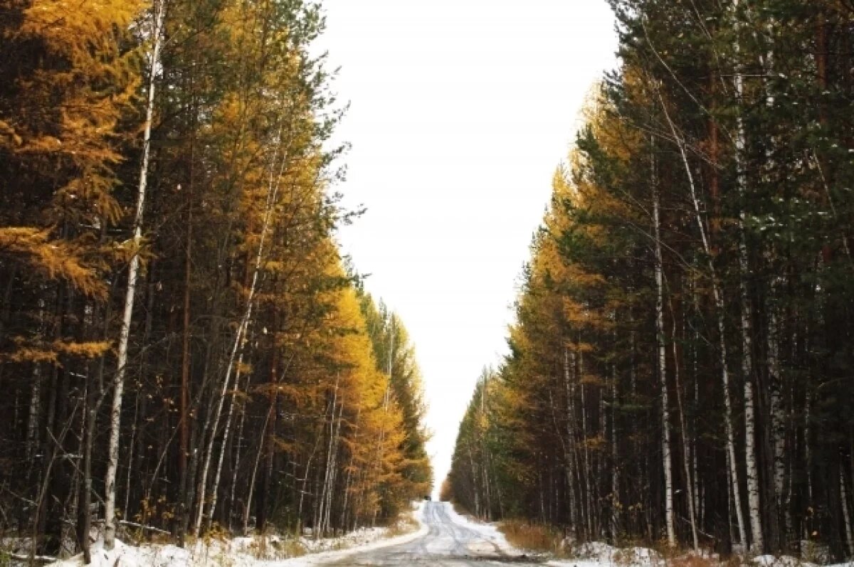    До +8 градусов потеплеет в Свердловской области