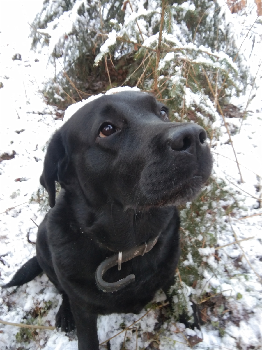 Фото автора. 