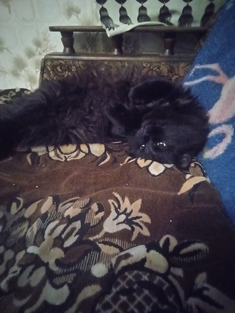 Фото автора. 