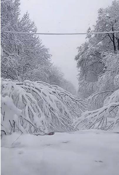    Источник фото: