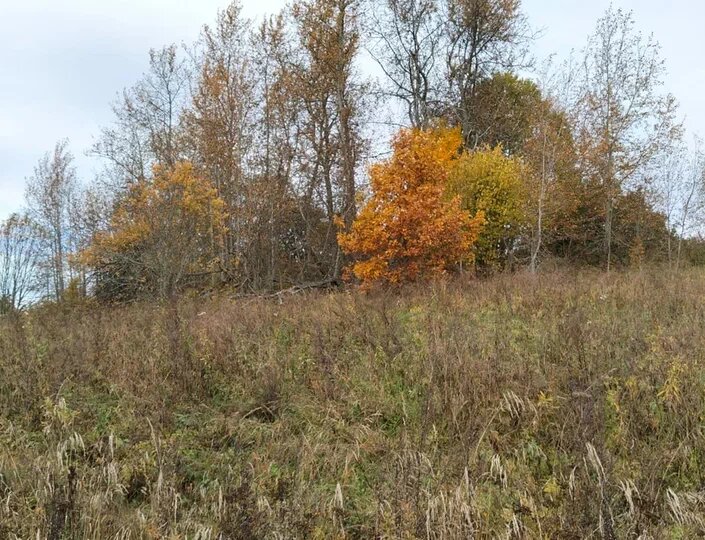 Ерема - сиди дома, 17 ноября