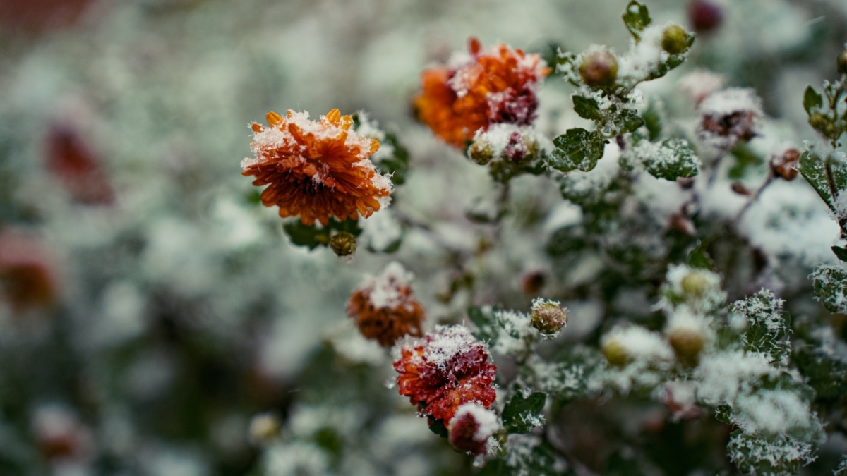 Светлана Мулыкина📷
