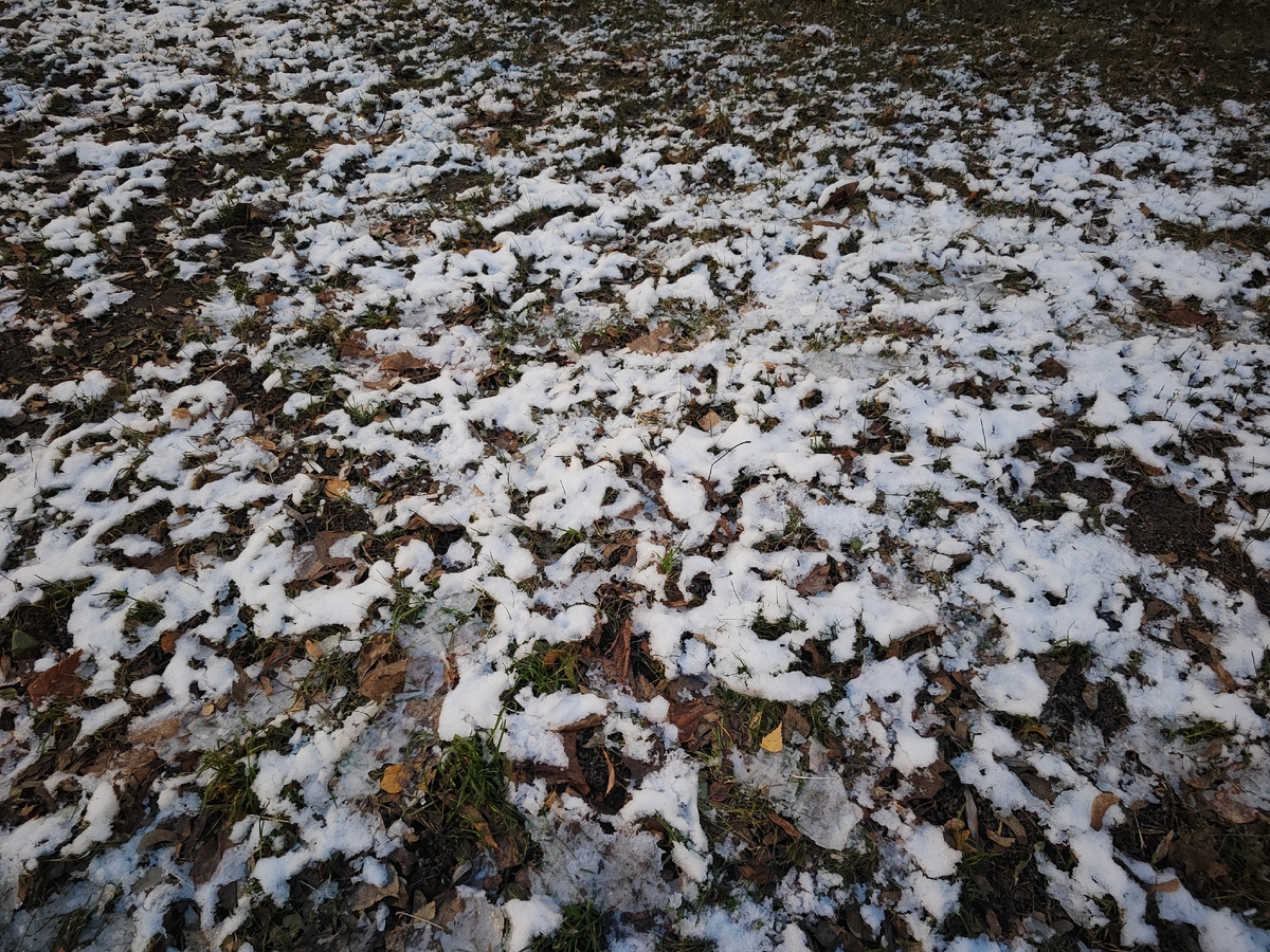 И первый снег...тает!