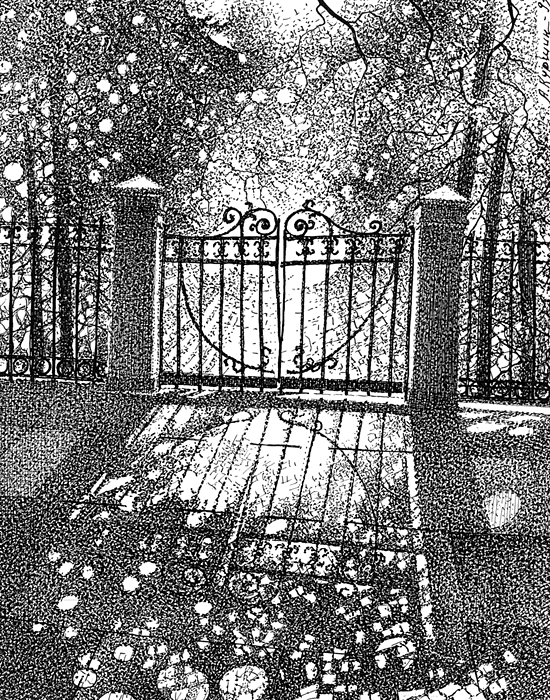   21×17 1992 .    : valamo.rualb/kurshin-valaam/