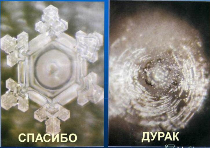 Кристалы воды которые замерзая "слышали" разные послания