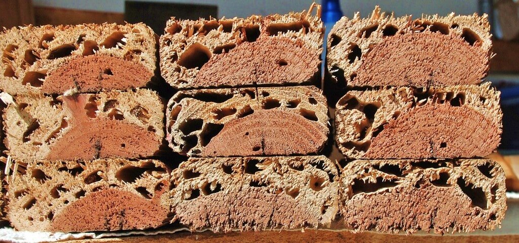 термиты выели брусья изнутри