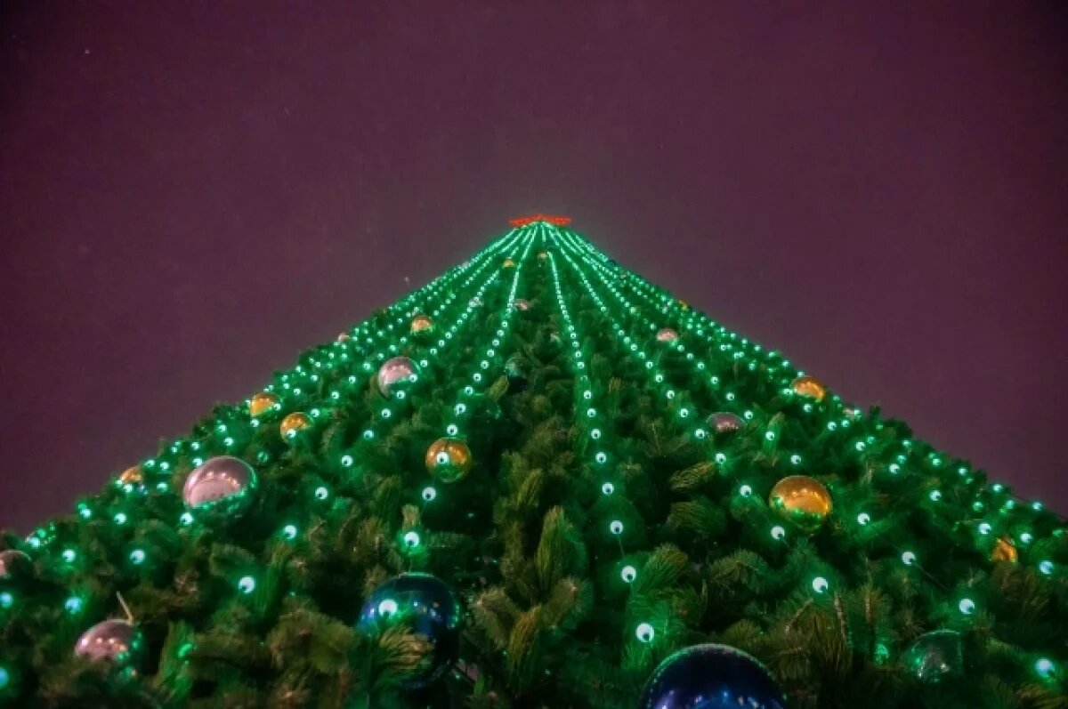    В Тарко-Сале объявлен тендер на создание новогоднего чума