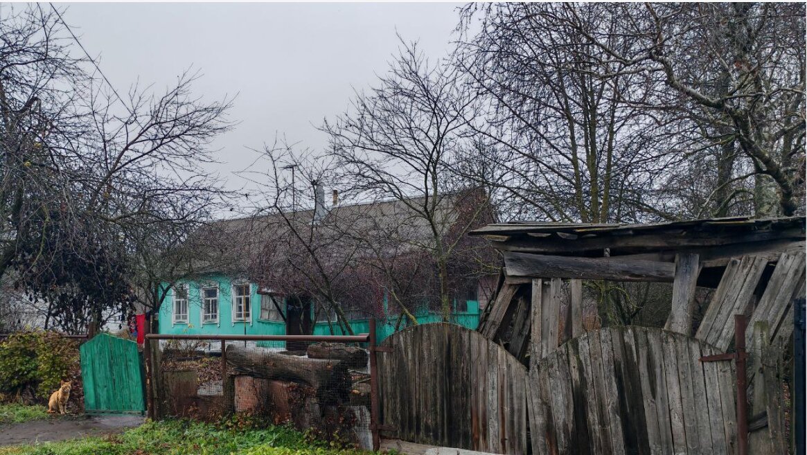 Васька — не просто кот, а голос своей хозяйки. Его «мандец» стал философией всей деревни