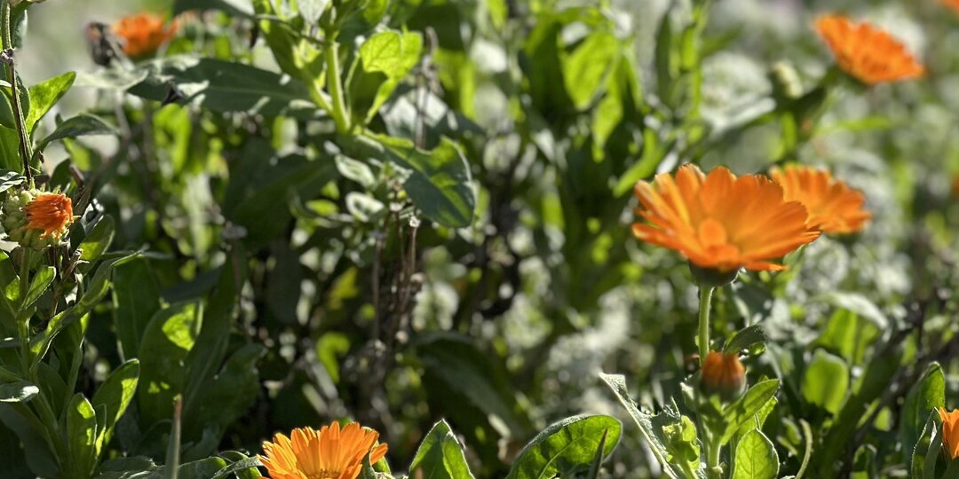 Погода в Крыму на 17 ноября 2025г.