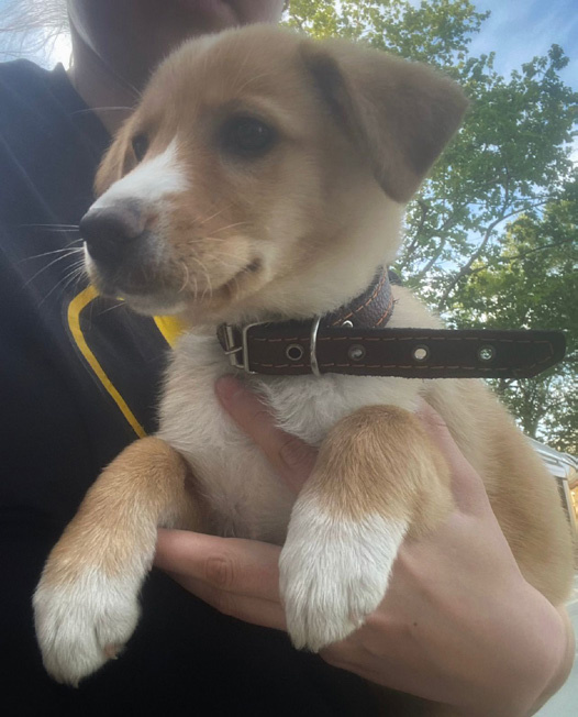 Первые секунды совместной жизни