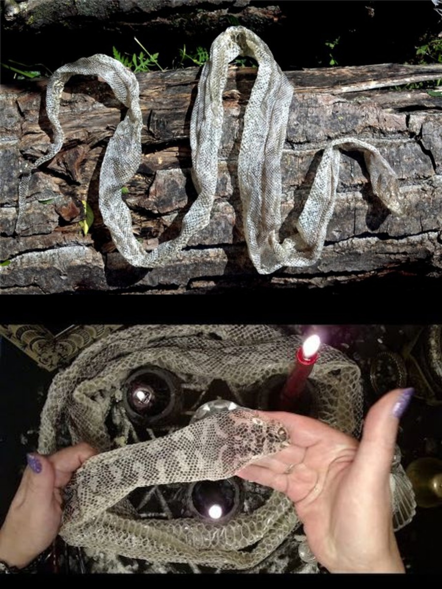 Фотоколлаж автора статьи