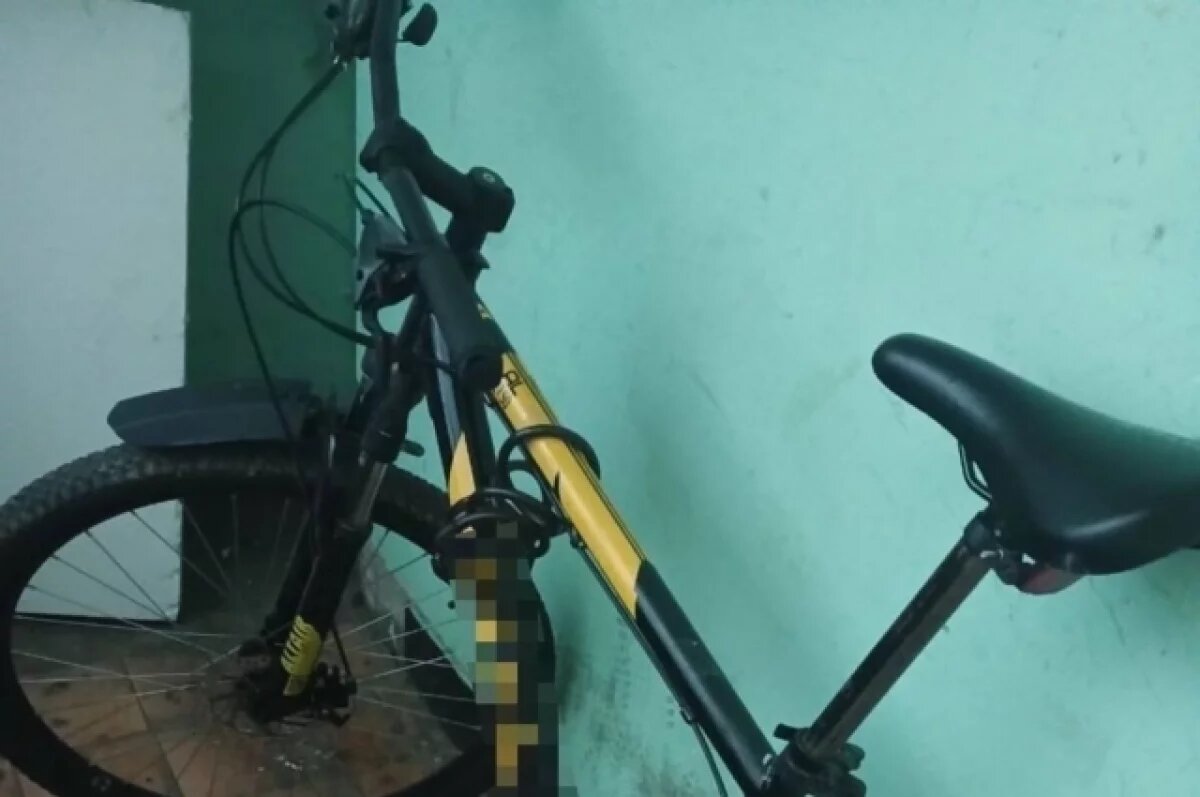    В Тольятти задержали вора, укравшего велосипед и сдавшего его в ломбард