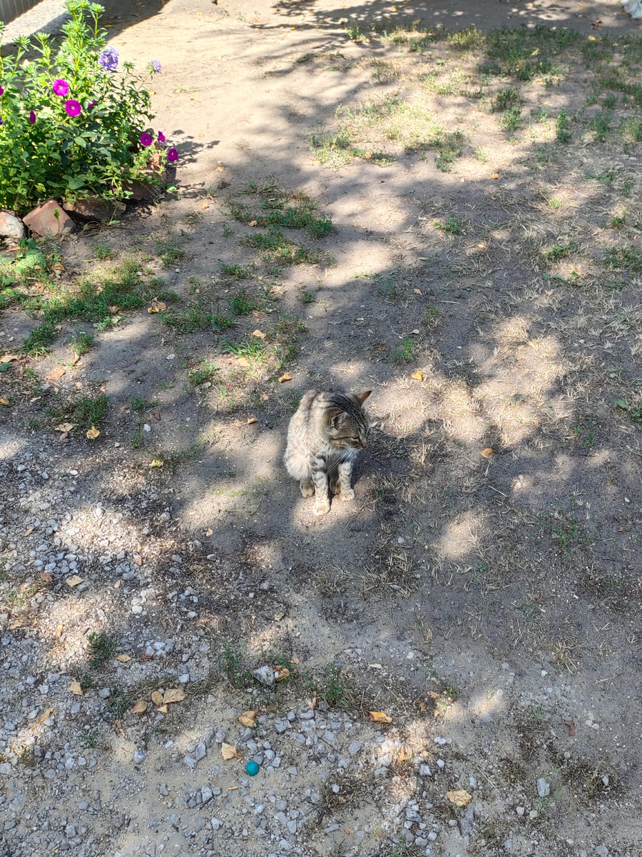 Верить или нет вопрос?