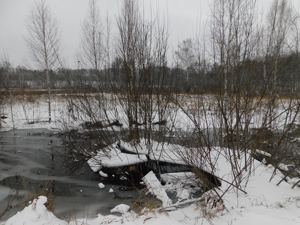    Будет преимущественно пасмурно. Фото Анны Зубаревой