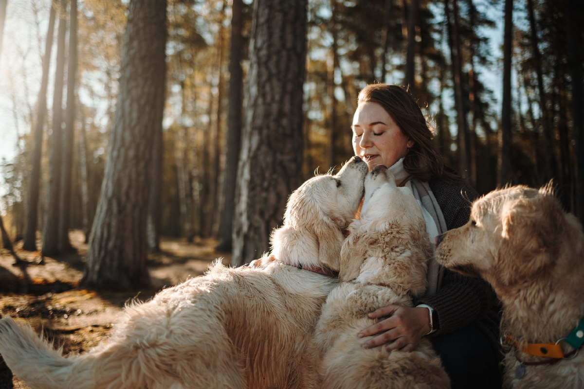 Если у вас больше одной собаки, вы наверняка узнаёте эту сцену. Кто-то лезет носом под руку, кто-то тихо присаживается рядом, а кто-то бодро расталкивает всех своими пушистыми боками.