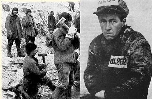 Коллаж из интернета.