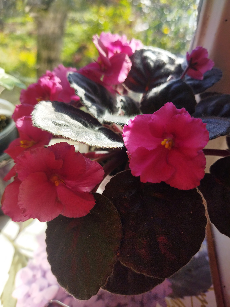 Все невзгоды вытерпела!