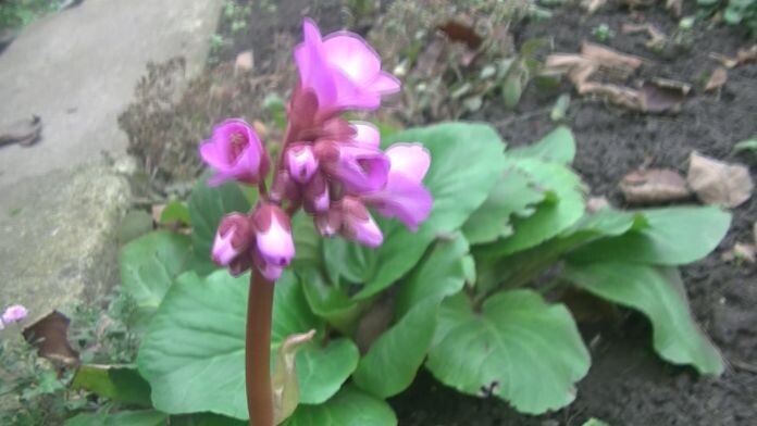 17 НОЯБРЯ 2025 .