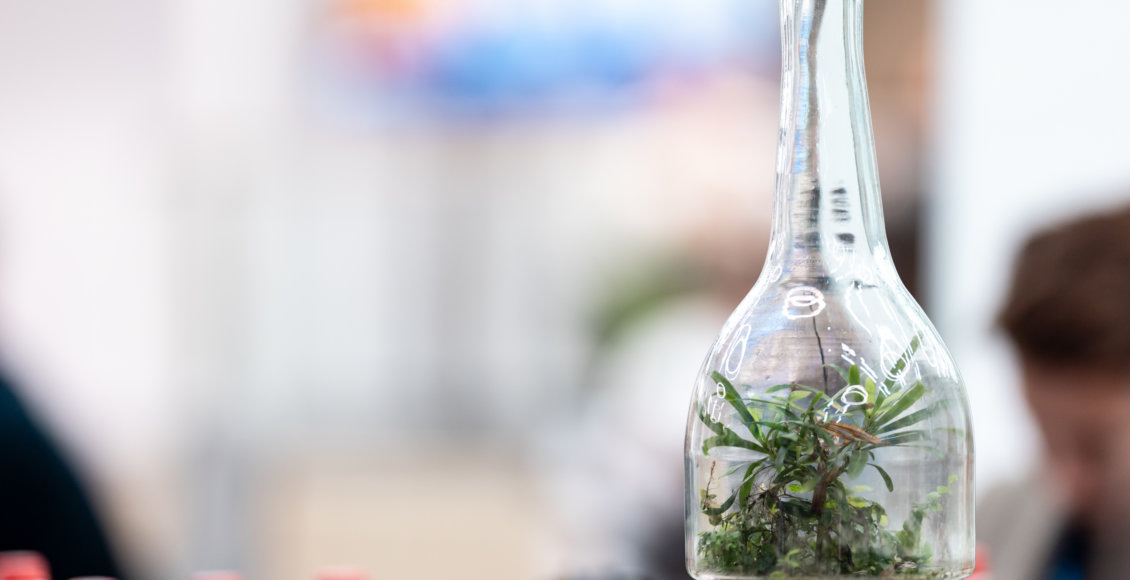    Фото: АНО Энергия развития