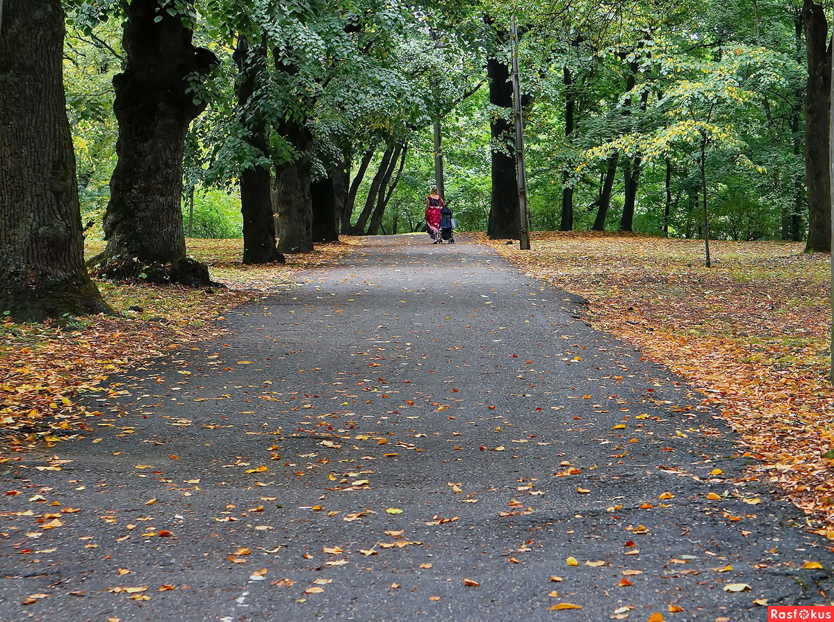 Прогулка в парке.