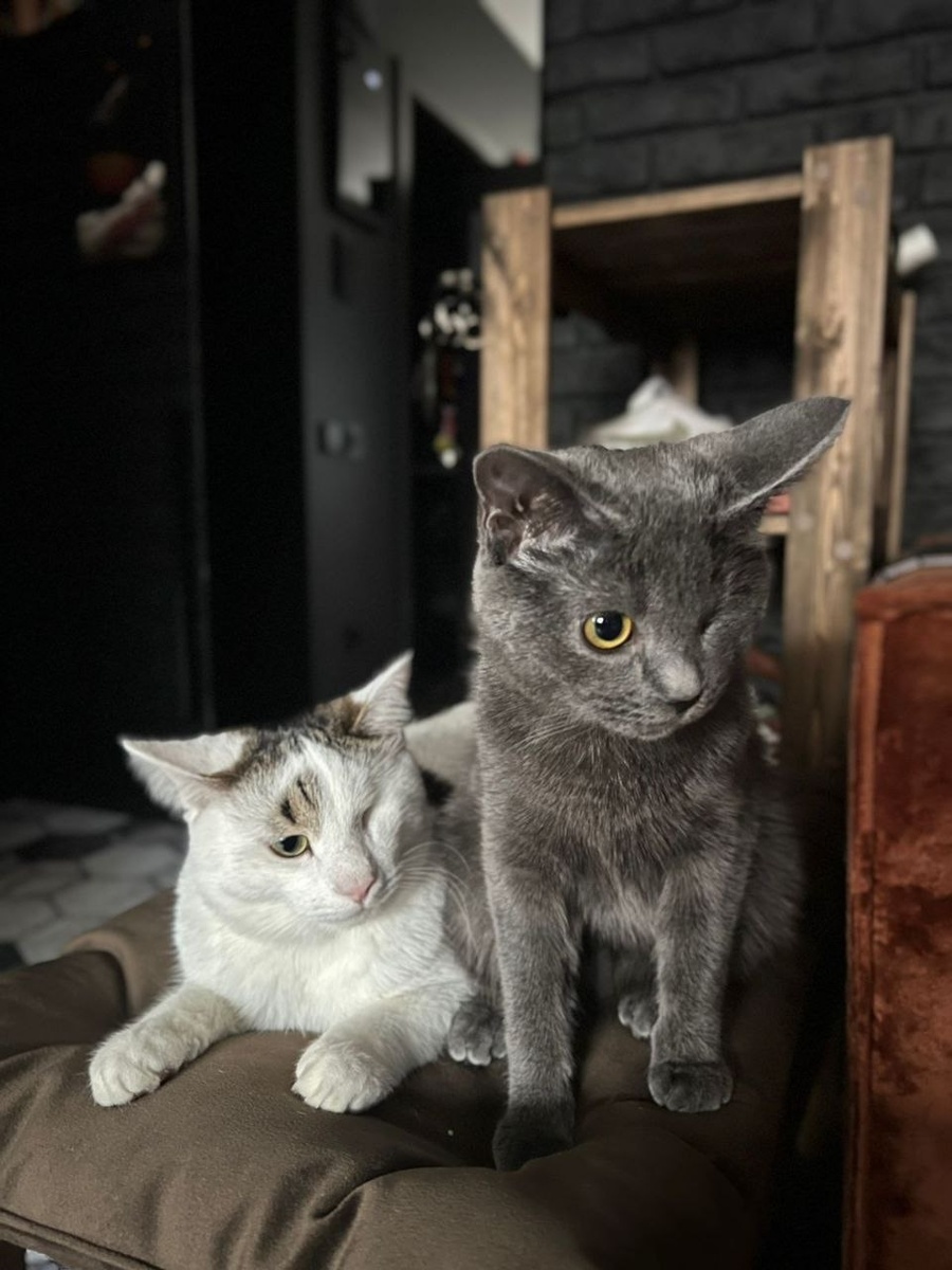  Для счастья нужно лишь любящее сердце рядом!