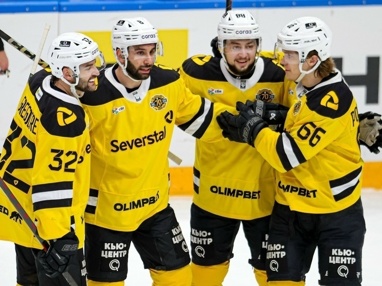     фото: ХК «Северсталь»