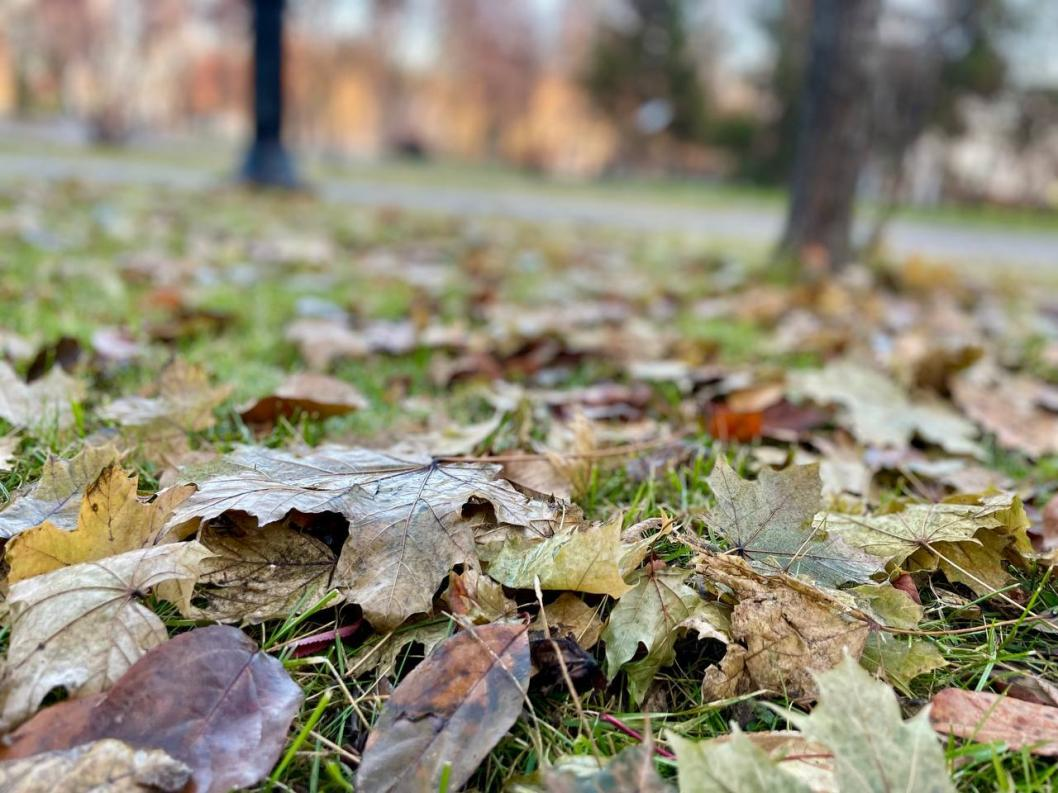 Фото: ИА "Тюменская линия"