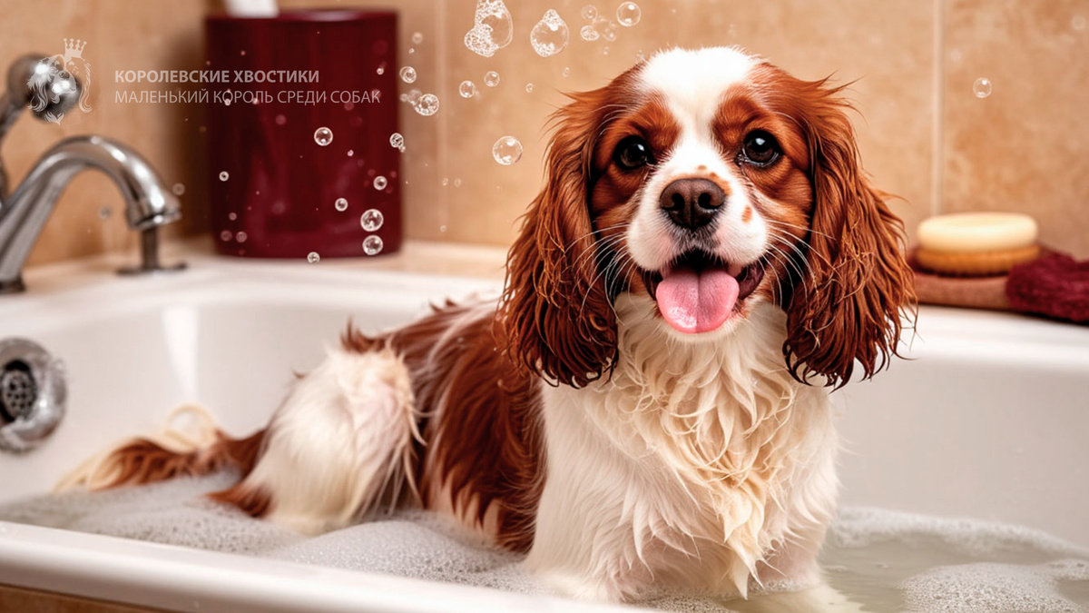 Водные процедуры.