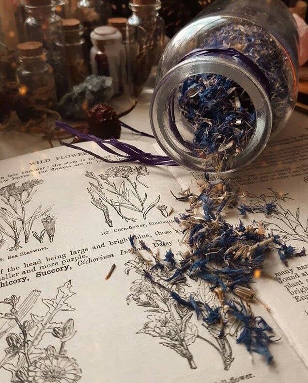 Фото с сайта Pinterest