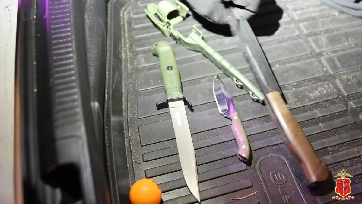  Фото: петербургская полиция