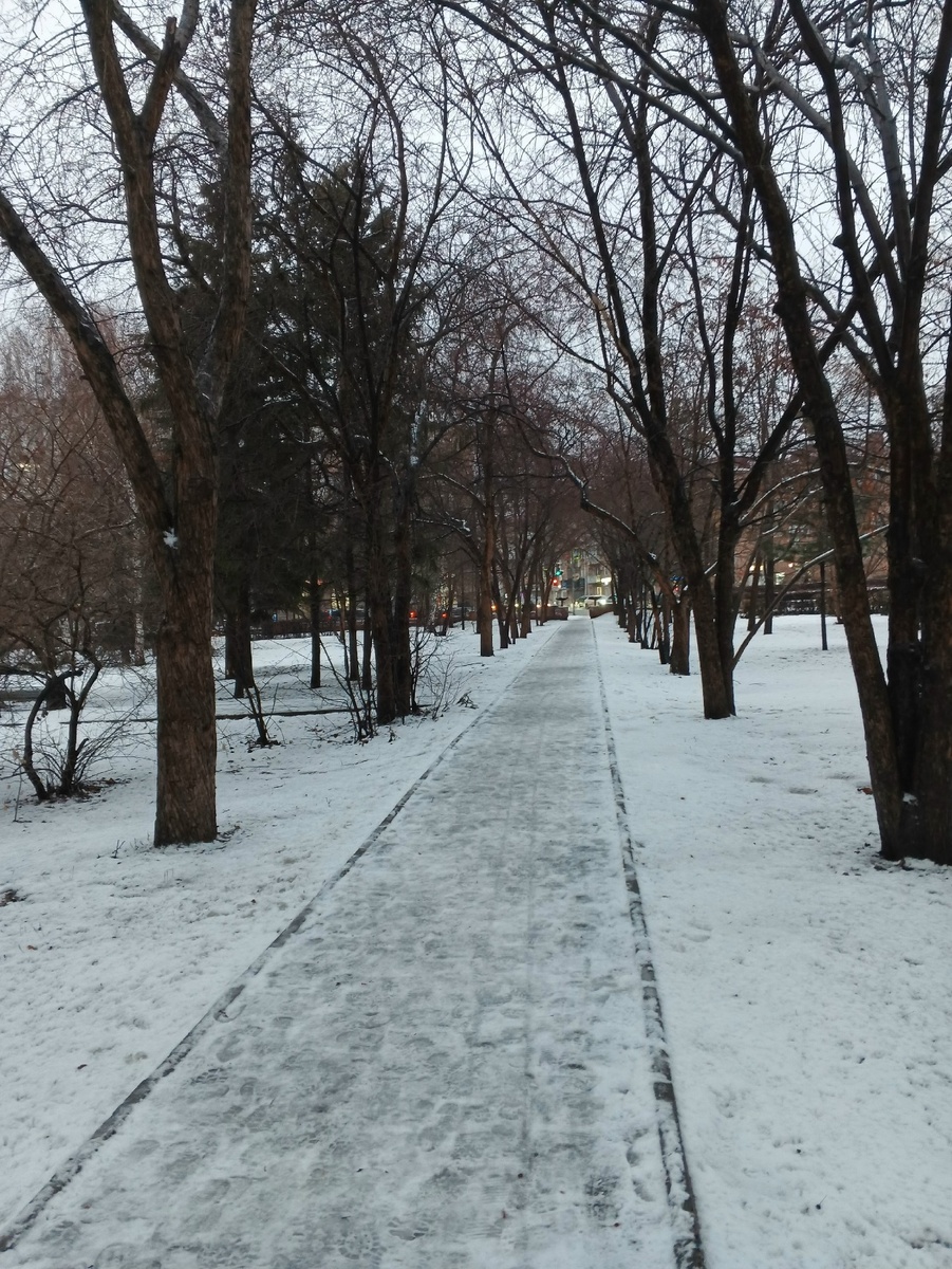 Сквер образца 11.11.2025