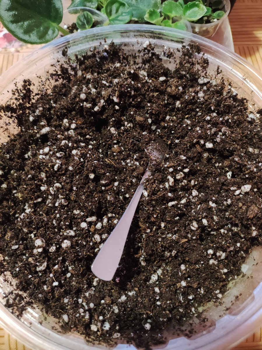 Вот такой грунт я для них использовала.