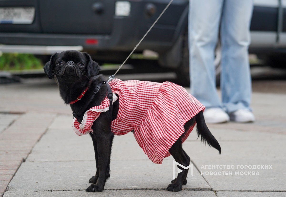 Фотограф: Пелагия Тихонова