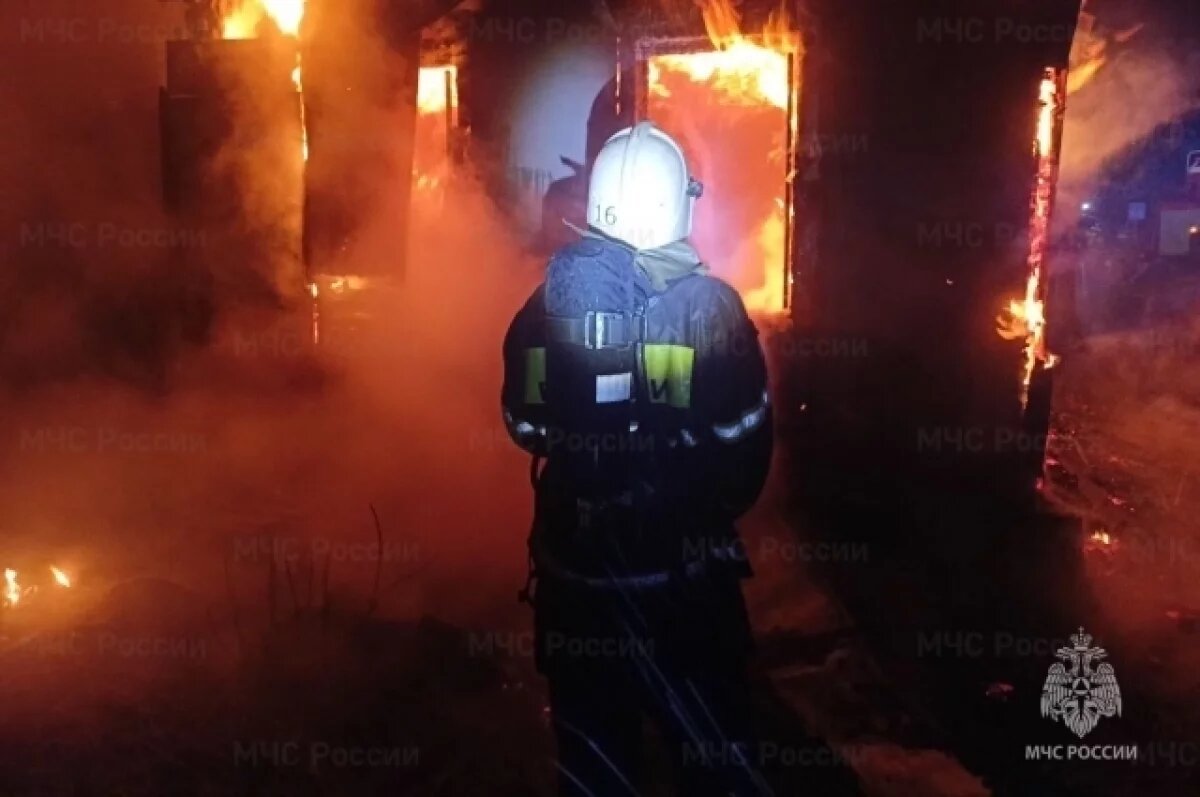    Пятилетний мальчик и мужчина погибли на пожаре в брянском Новозыбкове