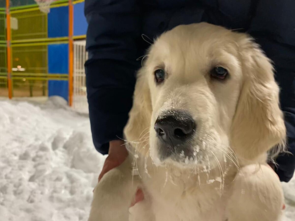  Кто в группе рискаи — менее устойчивы к сменам температуры. 