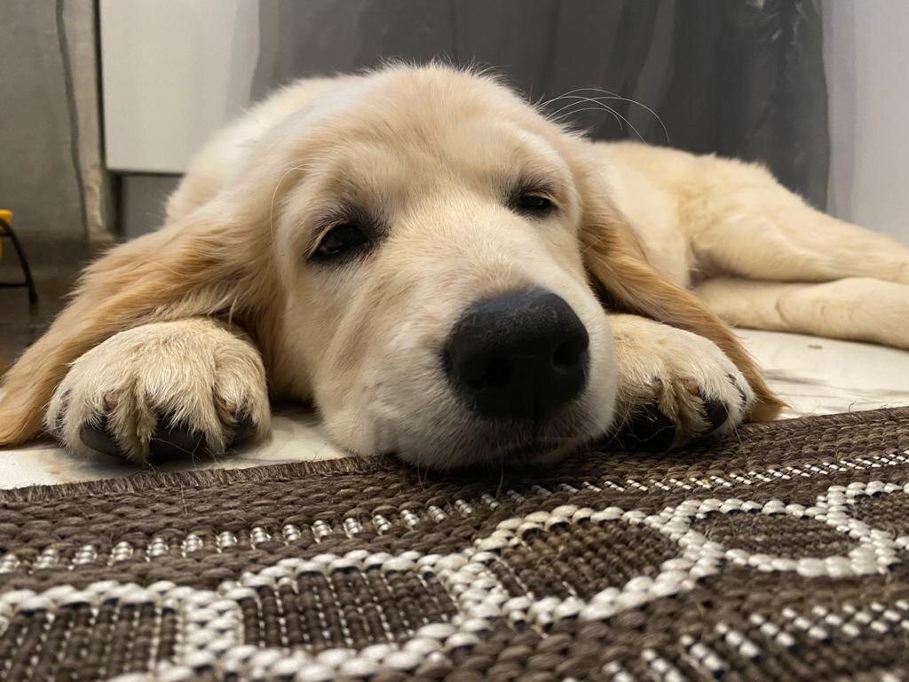 Оля устала от ветра.