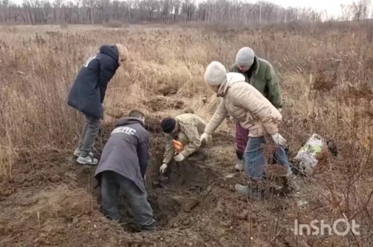   Поисковики в Приморье извлекут из грунта бомбардировщик времён ВОВ
