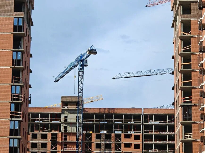    Фото: Юрий Серебренников/BFM Кубань