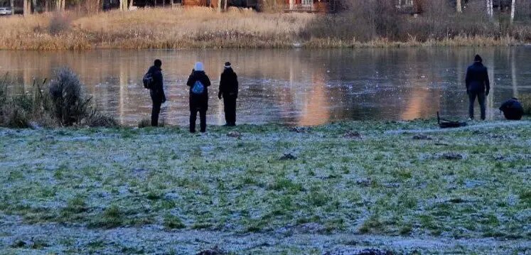    ГУ МЧС РФ по Костромской области