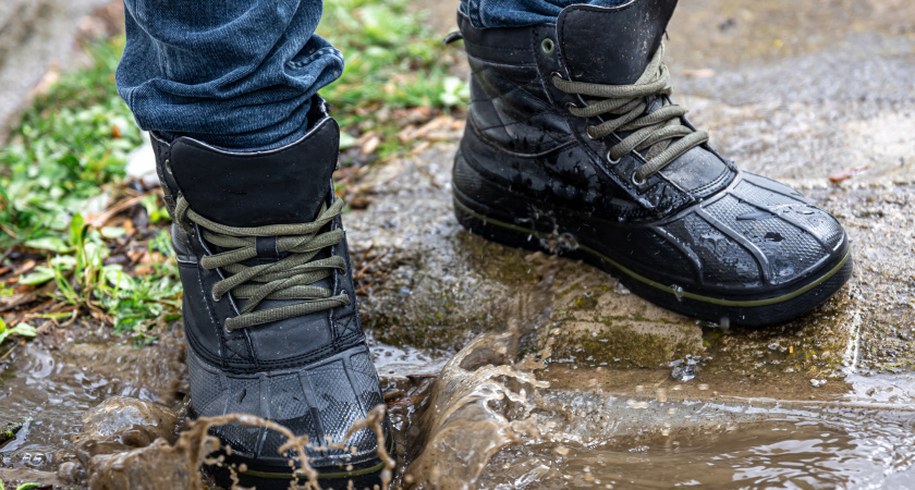    Как высушить обувь за ночь без утюгов и батарей: метод, который бережёт форму